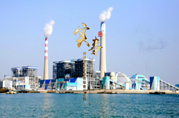 神華福能發電有限責任公司：《實事》